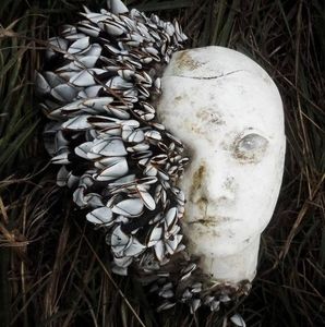 Meet your Posher, Jen